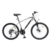 BICICLETA MILANO SAETA 29 PLATA